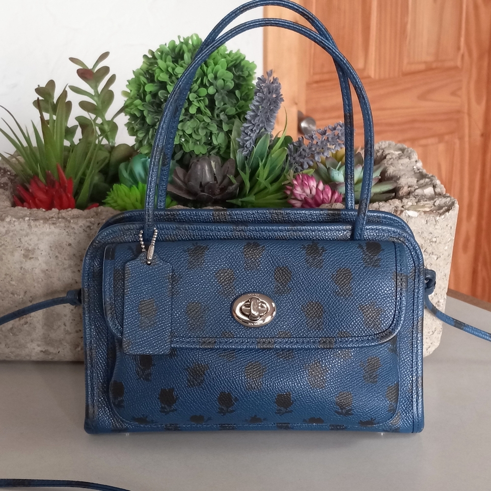 Coach Cady, Badlands Print on Crossgrain Leather, LE, Rare!!! - Picture 9 of 13